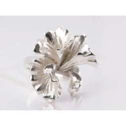 ANILLO PLATA CLAVELES LISO