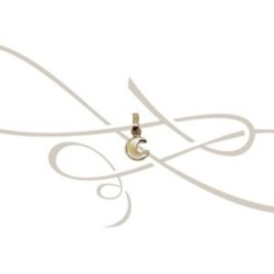 DIJE MINI LUNA ORO 10K